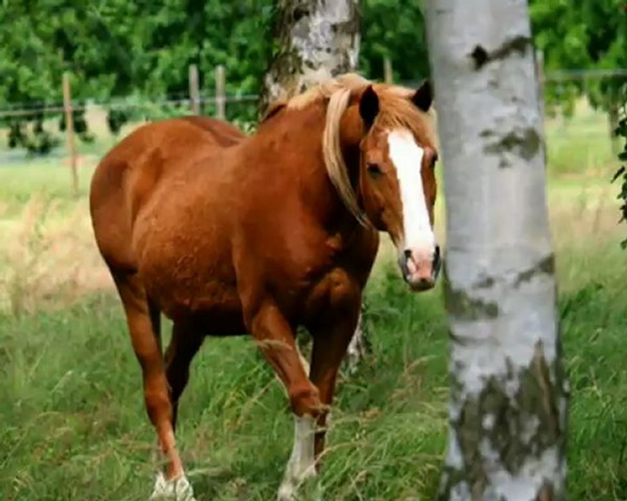 Notre histoire commence officièlement maintenant !