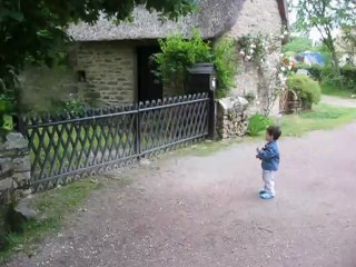 Vacances à Quiberon et le coq - Juin 2012