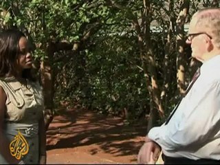 Zimbabwe law targets foreign businesses