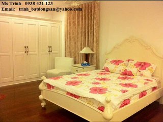 villa saigon pearl for rent