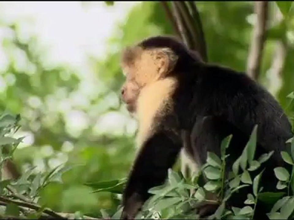 Vu sur Terre _ Costa Rica