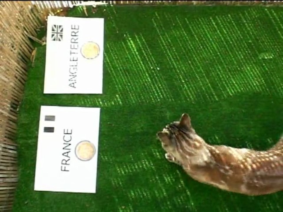 Frimousse Spiritus - France Angleterre - Euro 2012