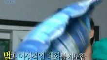 joowon meets a bee