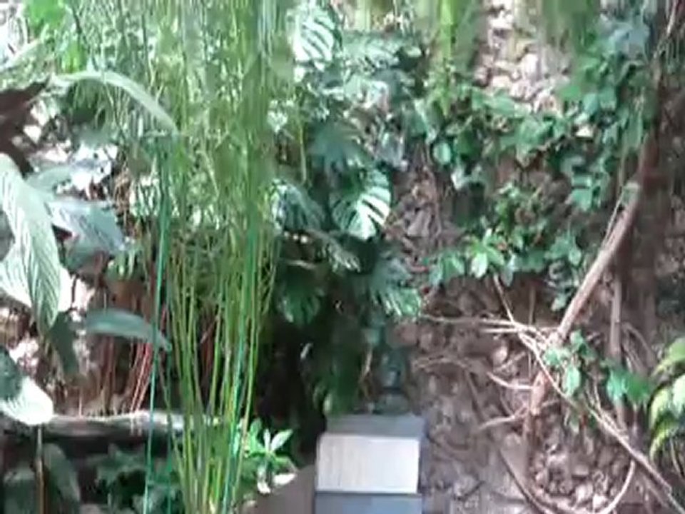 winter garden (6)