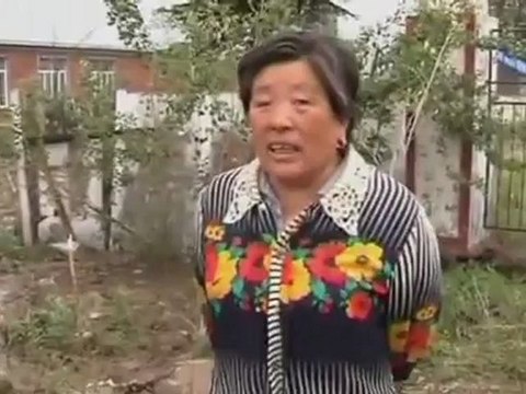 Hail storm batters Chinese village