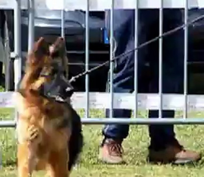 RILLIEUX 2012 GLORIA