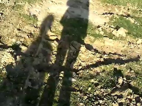 pusat gesili karabaş