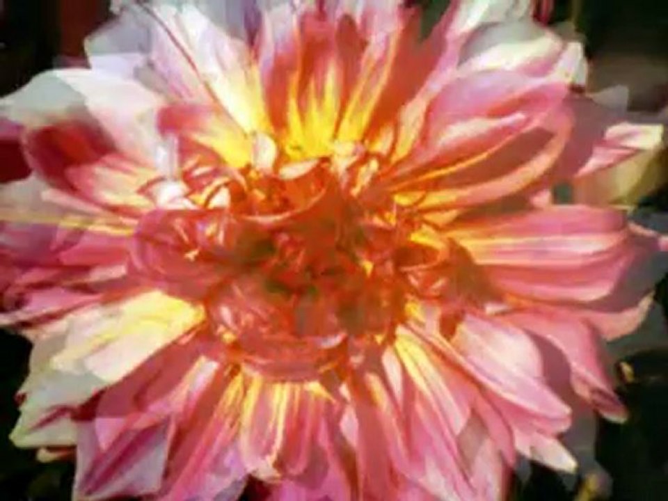 SÜLEYMAN ÖZKAFA BELGESELİ