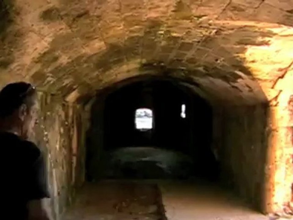 Trailer 1