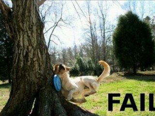 [TOURNOI MK7] Vanilla's Cup