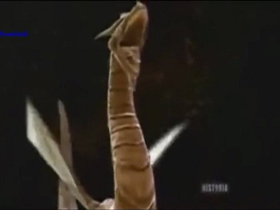 le griffon