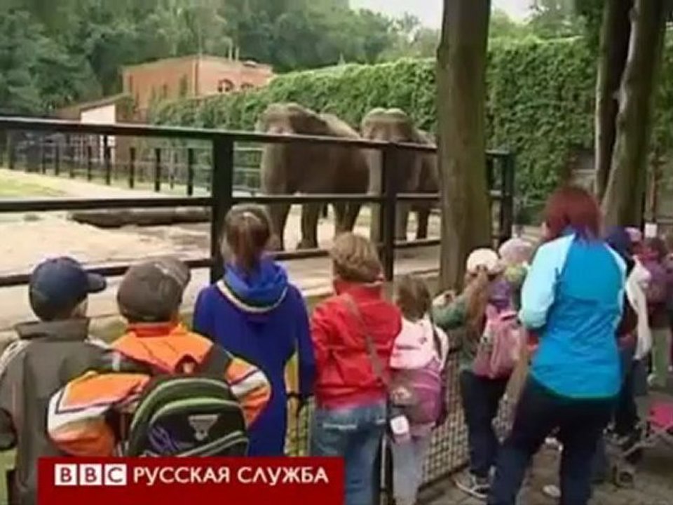 BBCRussian - Какой зверь лучше предскажет Евро-2012