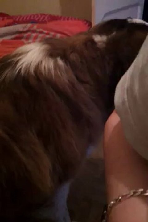 video-2012-04-26-21-04-27