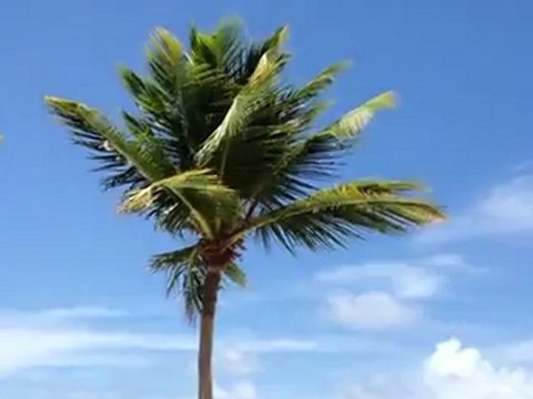 Le lagon et la terrasse de la Villa Pura Vida le luxe en Front de mer Guadeloupe