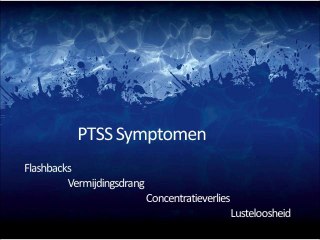 Center Parcs het Meerdal boektrailer