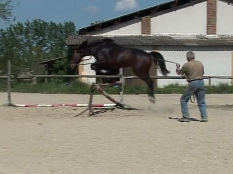 L'équilibrage constant par le travail a la longe