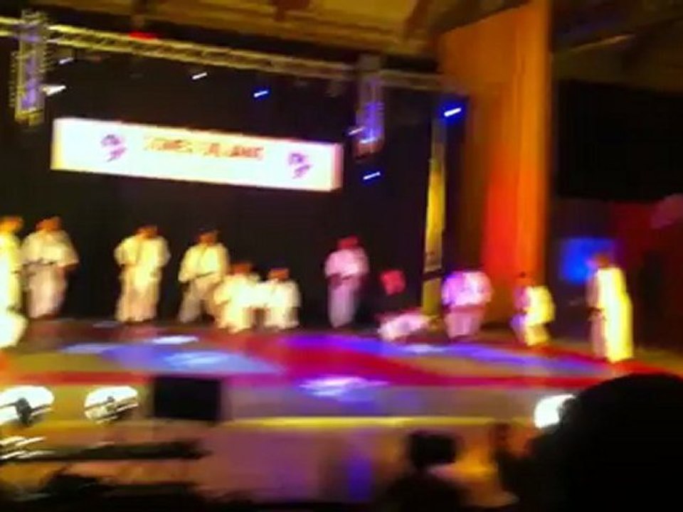 Gala 2012 Hapkido