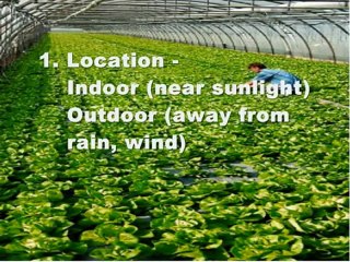 [HOT] Tips for successful home aquaponics system