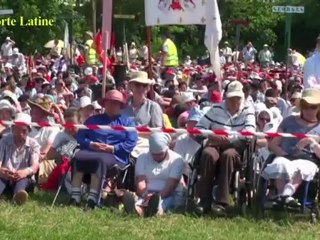 Pèlerinage Chartes / Orléans 2012 - FSSPX