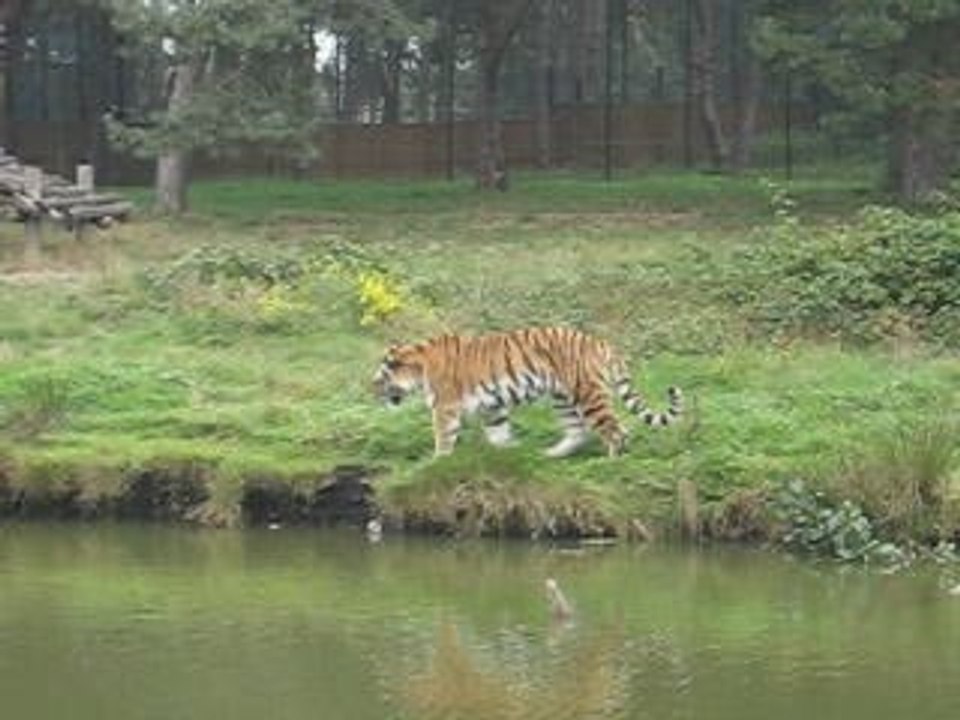beekse bergen