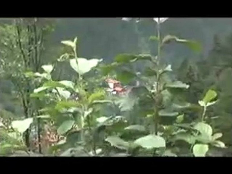 Aytekin Kemer - Bir Vefasız Yare Düştüm @ MEHMET ALİ ARSLAN Tv