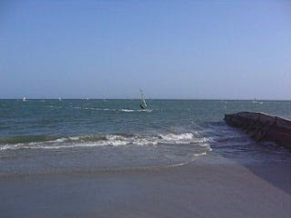 Margarita 2004 surf 1