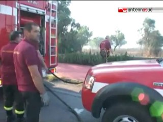 Rullo notizie 9 giugno