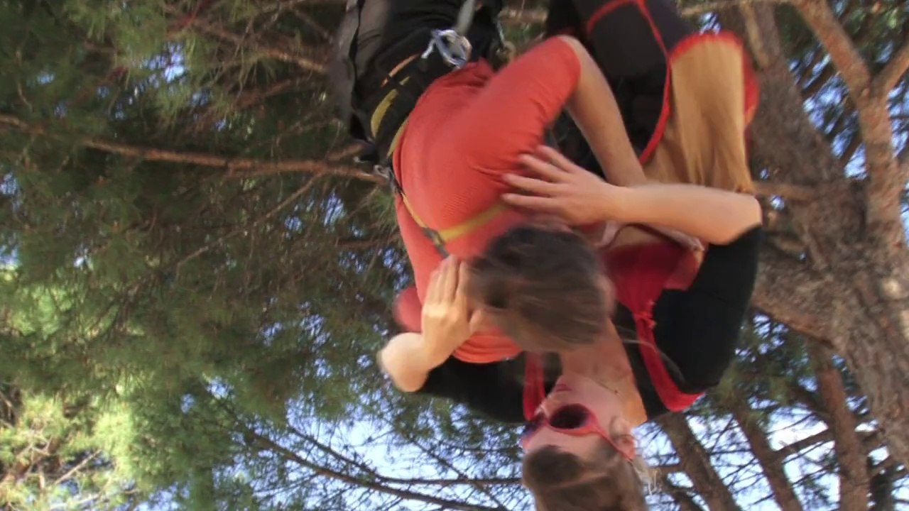 LES BOULONS EN PAPILLON