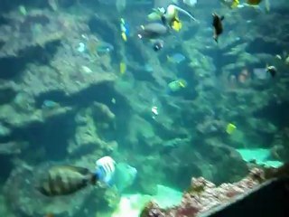 océanopolis