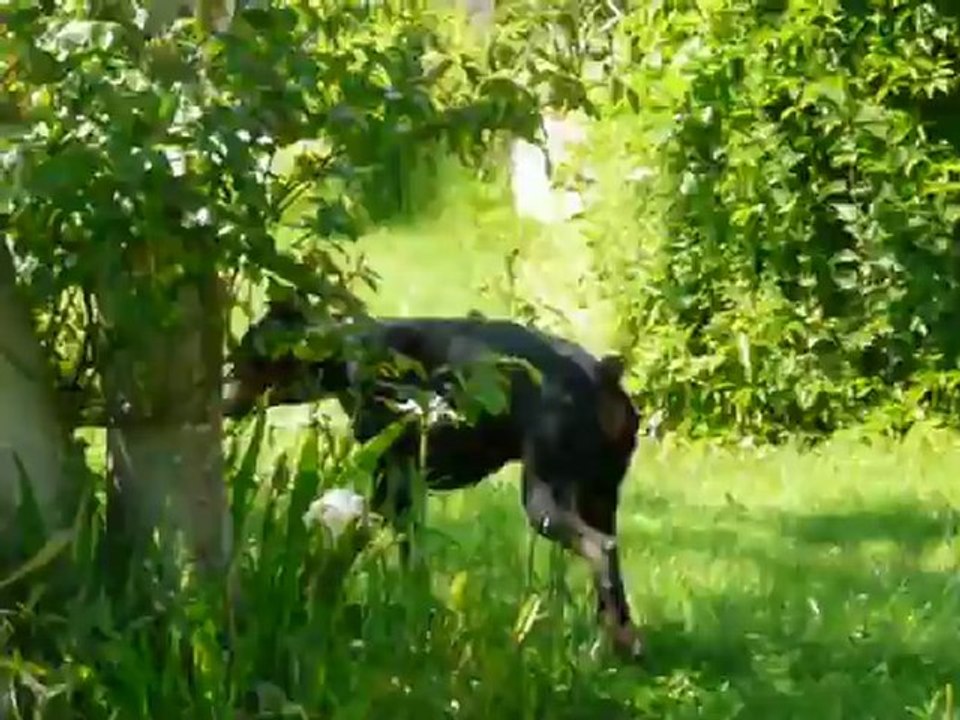 Vador en vacances