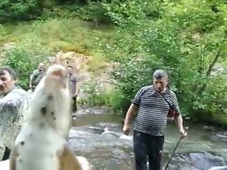 Balık böyle avlanır