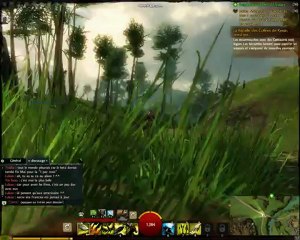 Gw2 2012-06-10 00-46-01-53