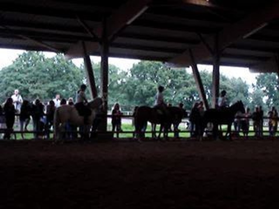 Carrousel monos (1)