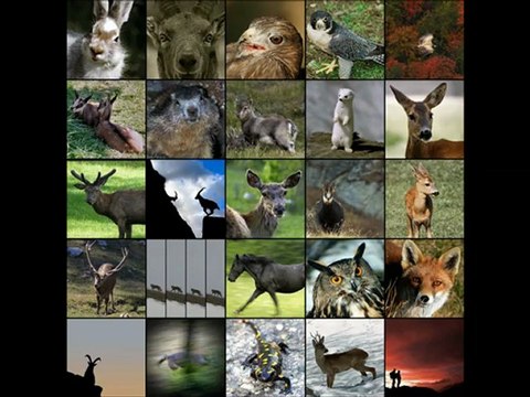 Il mio tempo in Montagna