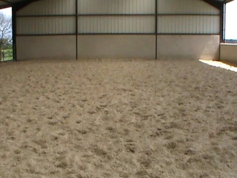 galop d et contre galop M2U03460