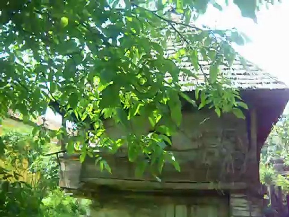 La maison abandonnee