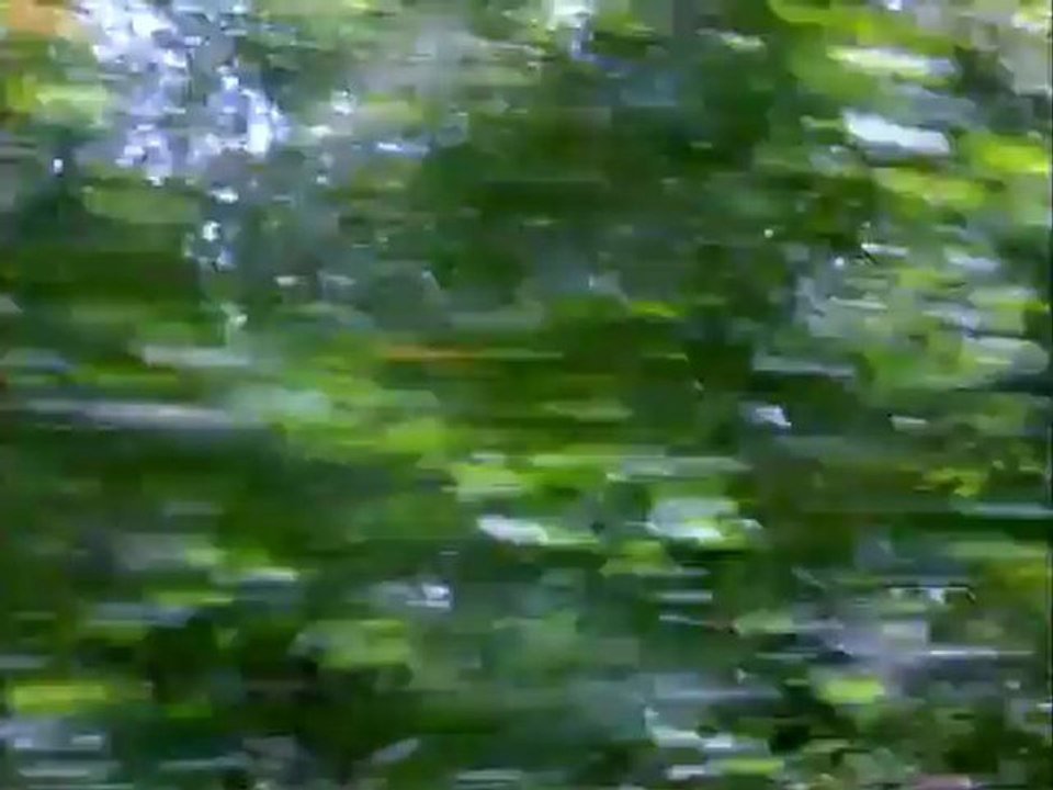 Universal Soldier The Return