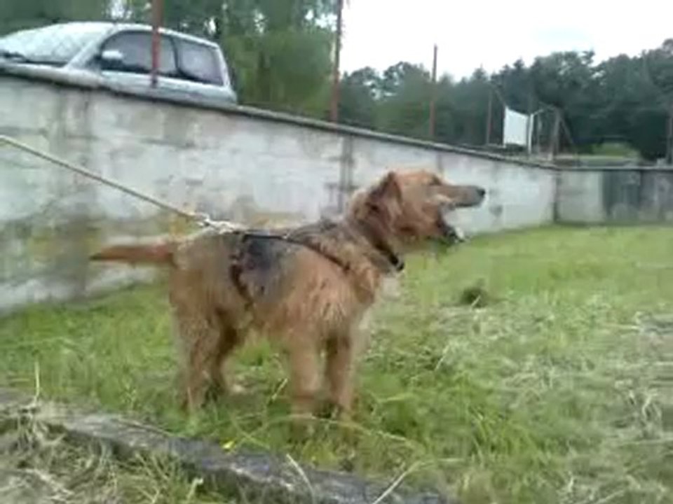 Charly