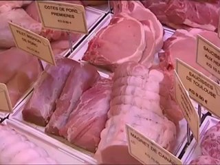 Les escapades de Petitrenaud dans le Perche 10 06 2012