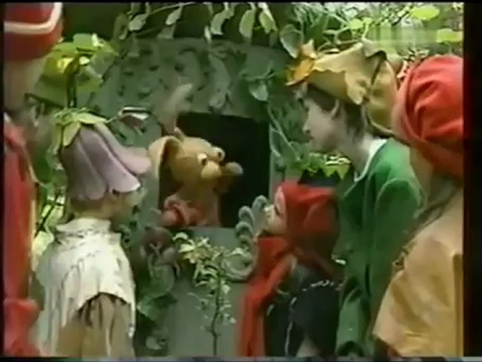 Fasolki zając poziomka