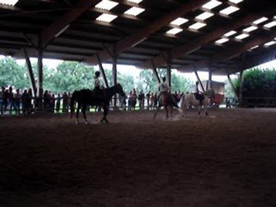 Carrousel monos (2)