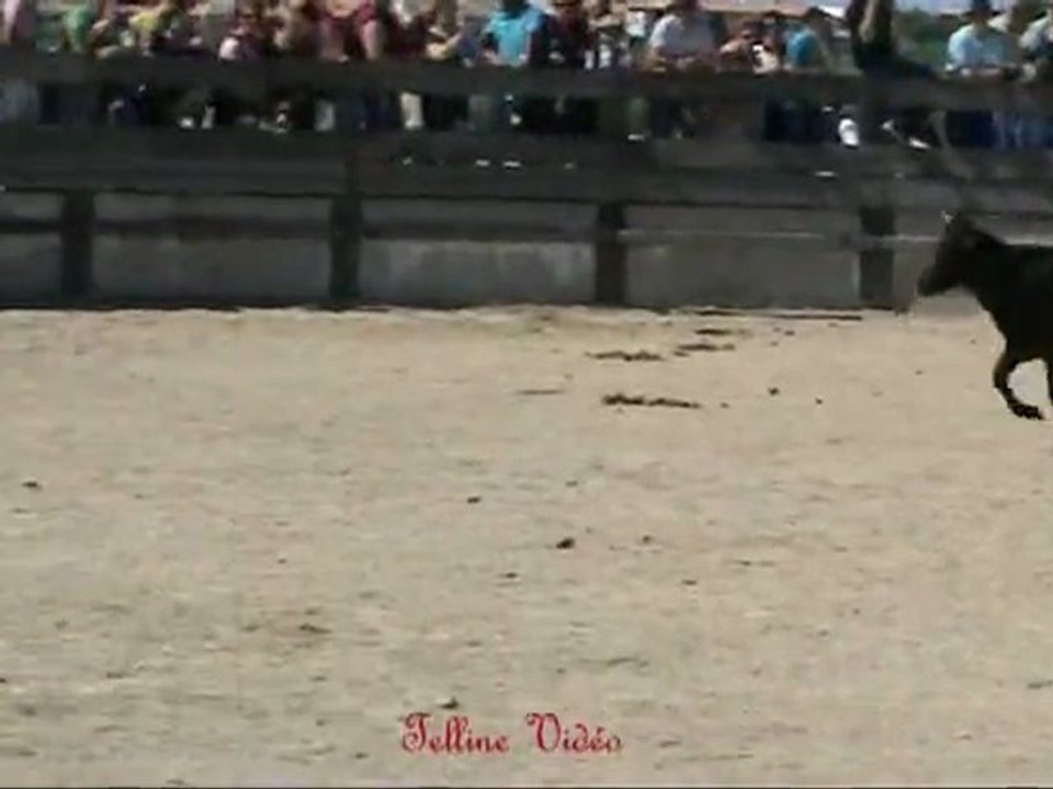 Les Saintes Maries de la Mer - Journée à l'ancienne - 9 juin 2012