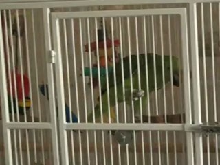 Philibert réclame son dodo