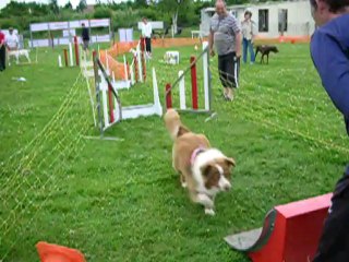 Fidji Dream découvre le FlyBall