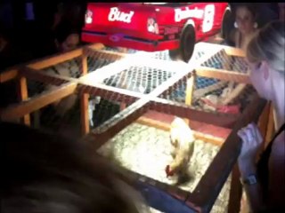 Help! My Business Sucks! (ep. 68)