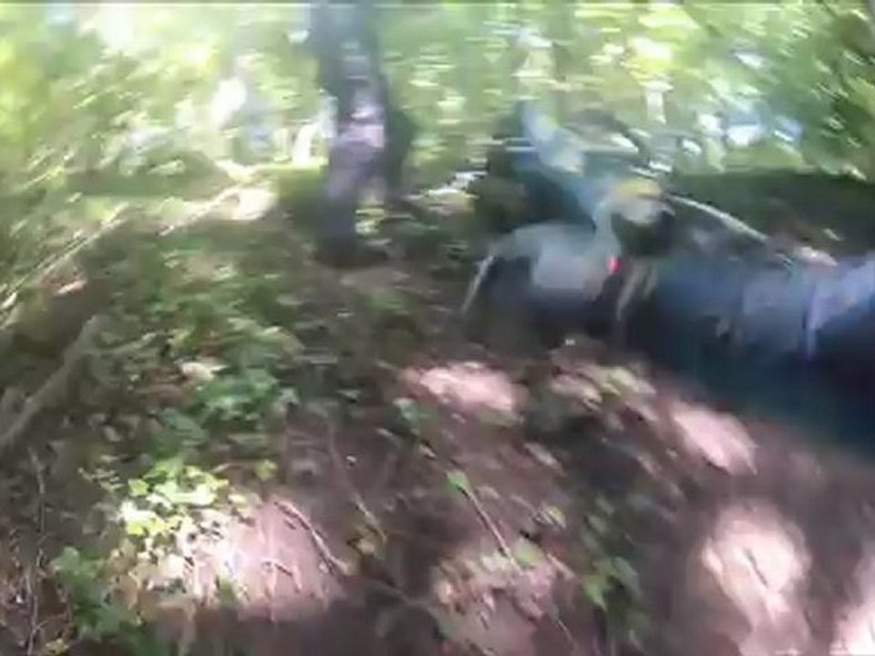 Petite chute