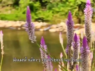 หลงกรุง  วันที่ 10 มิถุนายน 2555- อากาศเปลี่ยนแปลงบ่อย