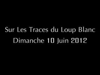 Sur Les Traces du Loup Blanc 2012