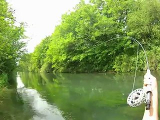 Carpes a la mouche.avi