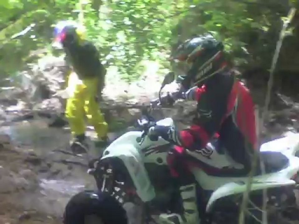 QUAD